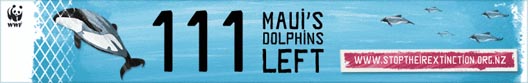 Stop the extinction of the Hector dolphin!
